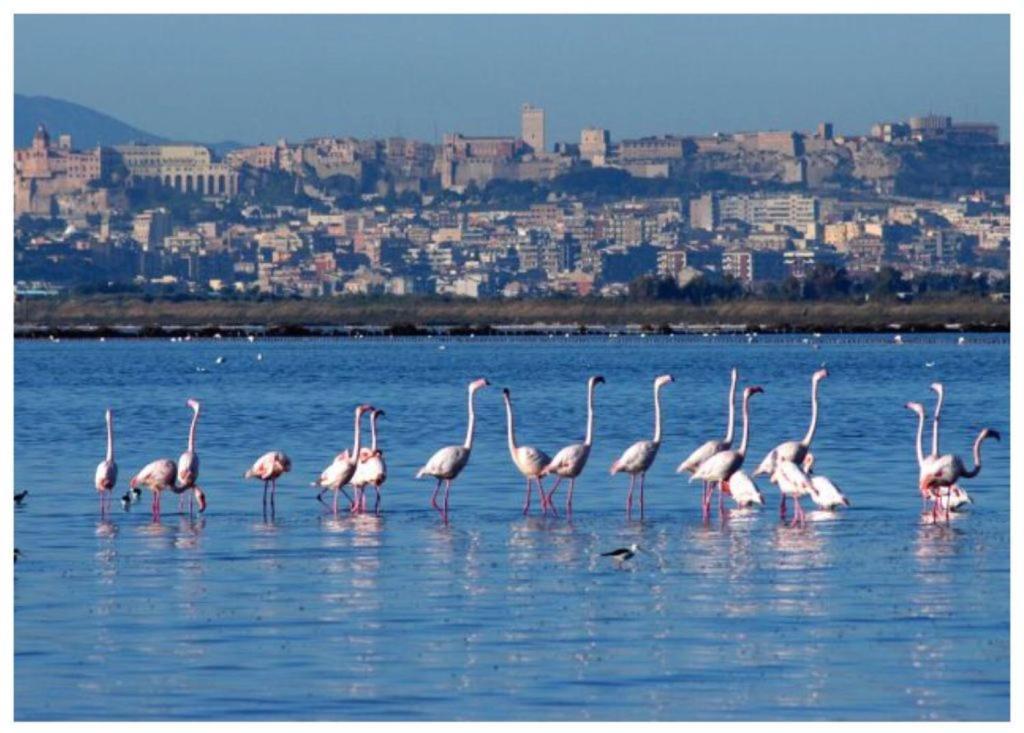 Casa Andrea A 1,5 Km Dal Mare! Apartment กวาร์ตู ซานเตเลนา ภายนอก รูปภาพ